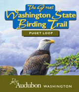WA State Audubon